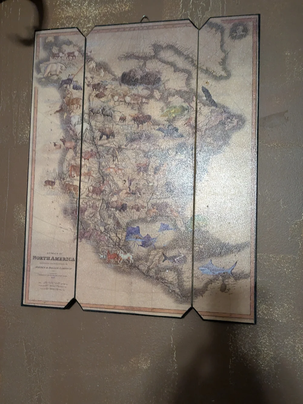Hobby Lobby Vintage-Style North America Wildlife Map Wall Art - Brown & Tan